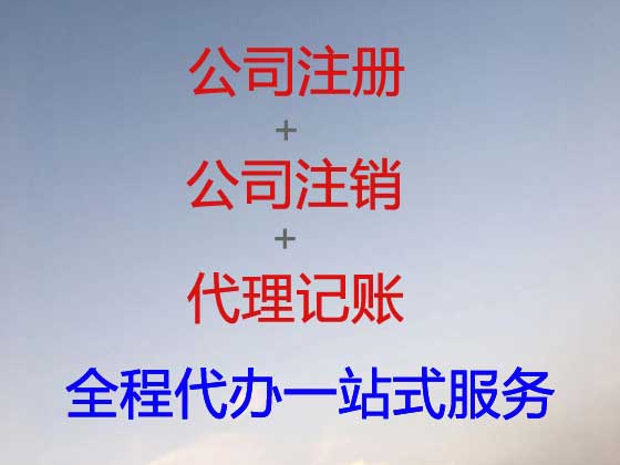 拉萨公司注册服务